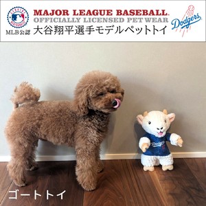 Dog Toy Toy