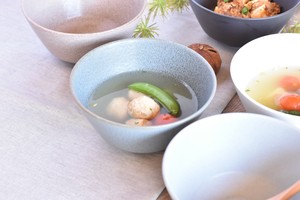 Mino ware Donburi Bowl Western Tableware Made in Japan
