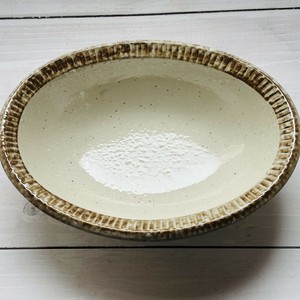 Mino ware Main Dish Bowl Made in Japan