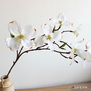 ドッグウッド　はなみずき 34573【New商品】