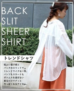 Button Shirt/Blouse Shirtwaist