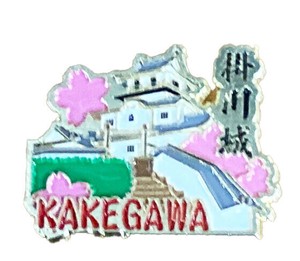 Brooch Pin Badge