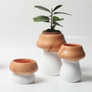 【新色追加】 インテリア陶器 植物 鉢「2025新作」