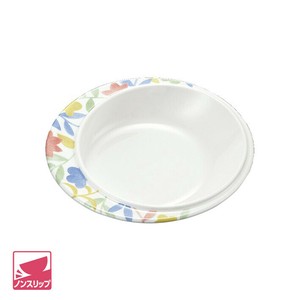 Divided Plate Dishwasher Safe Made in Japan