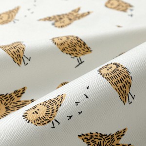 Cotton Ivory Owl