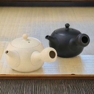 Tokoname ware Japanese Teapot
