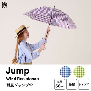 雨伞