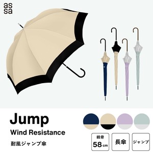 Umbrella Bicolor