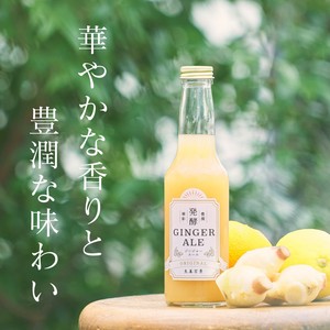発酵ジンジャーエール ORIGINAL