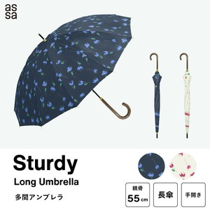 Umbrella
