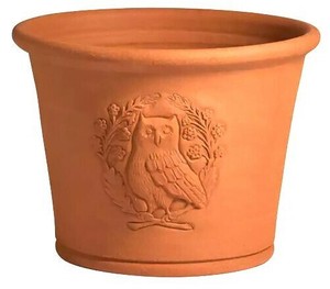 2025年秋入荷　ウィッチフォード　渋谷園芸コラボ 《ウッドランドオウル》12号鉢相当 Woodland Owl Pot
