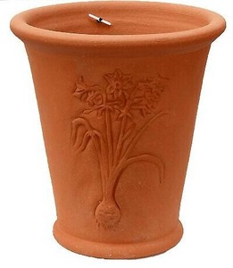 2025年秋入荷　ウィッチフォード　テラコッタ　植木鉢　《ペーパーホワイト》　6号鉢相当 Paper White Pot