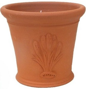 2025年秋入荷　ウィッチフォード　テラコッタ　植木鉢　《クロッカスポット》　5.5号鉢相当 Crocus Pot
