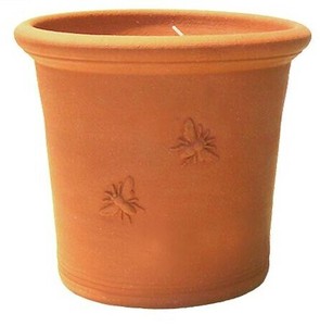 2025年秋入荷　ウィッチフォード　植木鉢　《アームスコウトポット（蜂）》　7号鉢相当 Armscout Pot