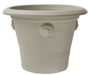 2025年秋入荷　ウィッチフォード 植木鉢 《チュダーローズポットアッシュ》7.5号鉢相当 TudorRose Pot Ash