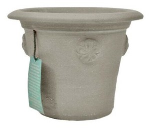 2025年秋入荷　ウィッチフォード　植木鉢《チュダーローズポットアッシュ》　6号鉢相当 TudorRose Pot Ash