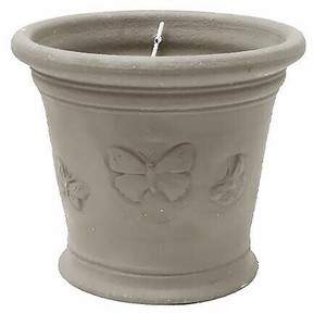 2025年秋入荷　ウィッチフォード　植木鉢　《バタフライポット アッシュ》　5.5号鉢相当 Butterfly Pot Ash