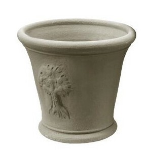 2025年秋入荷　ウィッチフォード　植木鉢　《ウィズリーアップルツリー 》4号鉢相当 WisleyAppleTree Ash