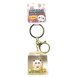 Key Ring