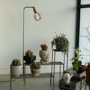 KNOP ADJUST LAMP