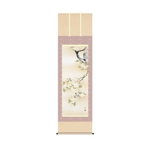 掛軸 近藤玄洋桜花に小鳥 54.5×190cm KZ2A2-081