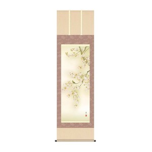 掛軸 緒方葉水 桜花に小鳥 54.5×190cm KZ2A6-33A
