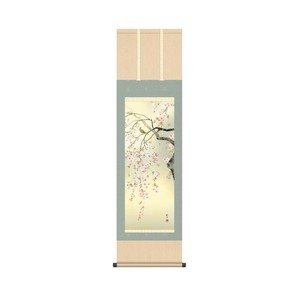 掛軸 森山観月桜花 44.5×164cm KZ2MA2-088