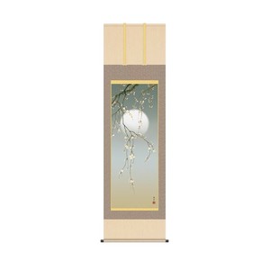 掛軸 清水玄澄夜桜 54.5×190cm KZ2A2-083