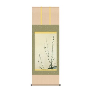掛軸 速水御舟猫柳に小禽 54.5×153cm KZ2G9-051
