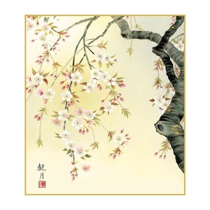 色紙 森山観月 桜花爛漫 24.2×27.2cm K5-010