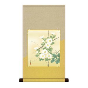 色紙掛・色紙セット 田村竹世  菊花 31×57cm KA2HEM-022