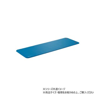 DANNO ダンノ ストレッチマットEX ブルー D7217B
