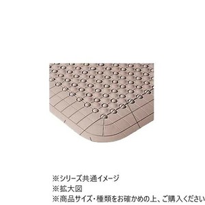 DANNO ダンノ 抗菌フミンゴ 中ふちメス ベージュ D4203BJ