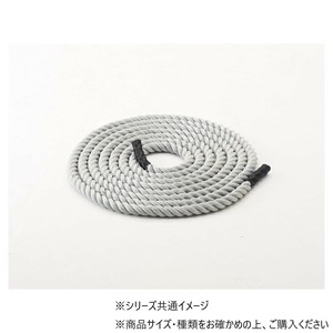 DANNO ダンノ 体幹ロープ D5320