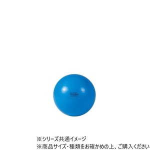 ダンノ(DANNO) ギムニク カラーボール 65　D5432