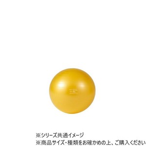 ダンノ(DANNO) ギムニクカラーボールPLUS　65(イエロー)　D5422Y