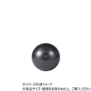 ダンノ(DANNO) ギムニクカラーボールPLUS　65(ブラック)　D5422BK