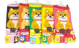 【おもしろ5本指ソックス】　柴犬全身