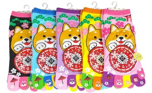 【おもしろ5本指ソックス】　番傘に柴犬