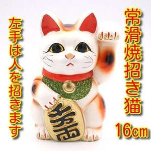 常滑焼（とこなめやき）白小判招き猫　5号　左手