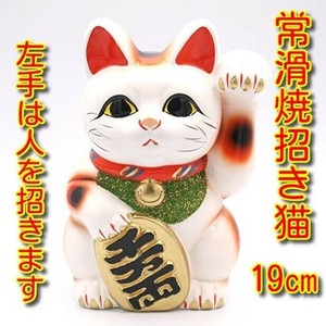 常滑焼（とこなめやき）白小判招き猫　6号　左手
