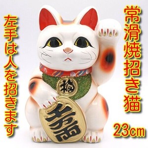 常滑焼（とこなめやき）白小判招き猫　7号　左手