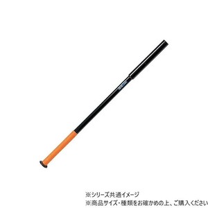 DANNO(ダンノ) 素振りバット  (2kg) D0087