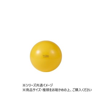 ダンノ(DANNO) ギムニク カラーボール 75　D5433