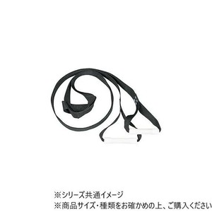 ダンノ(DANNO) 逆上がりマスタ-　D0249