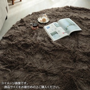 マイクロファイバーロングシャギーラグ　シフォン　円形　190cm　グレージュ「GSCD508386」