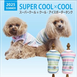 Dog Clothes