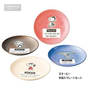 Divided Plate Snoopy SNOOPY with Wooden Box Made in Japan