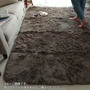 マイクロファイバーロングシャギーラグ　シフォン　130×190cm　グレージュ「GSCD508382」