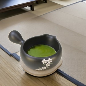 Tokoname ware Japanese Teapot